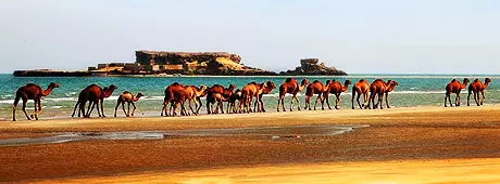 تور قشم