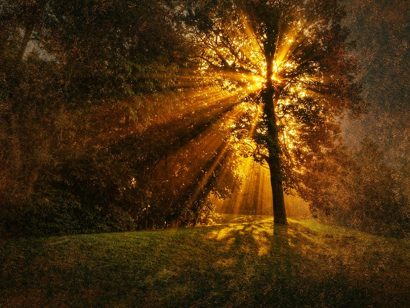 نور در عکاسی