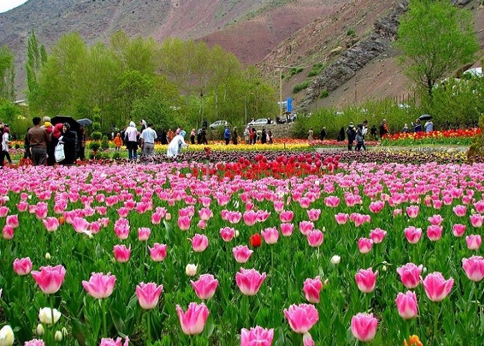 باغ لاله ها در گچسر