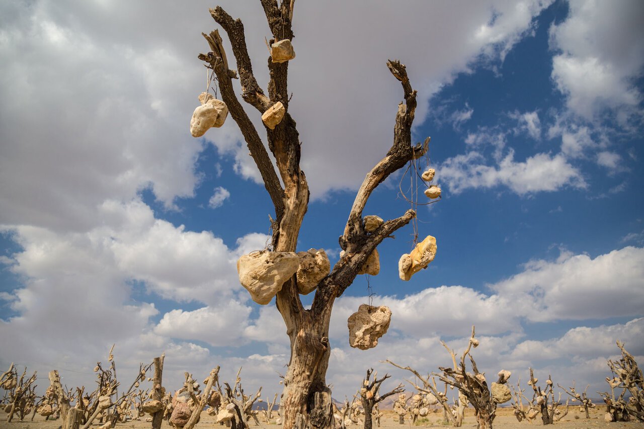 باغ سنگی در سیرجان کرمان
