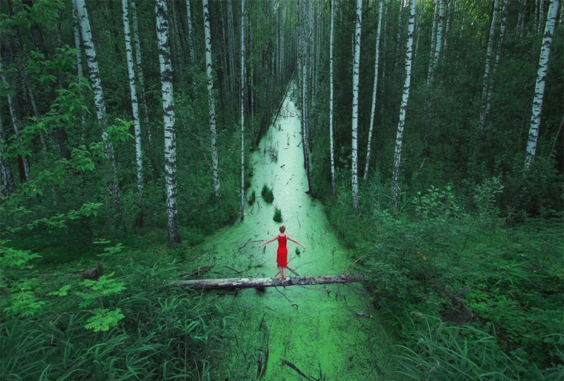 Forests without end