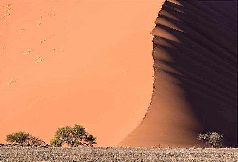 Namib Desert