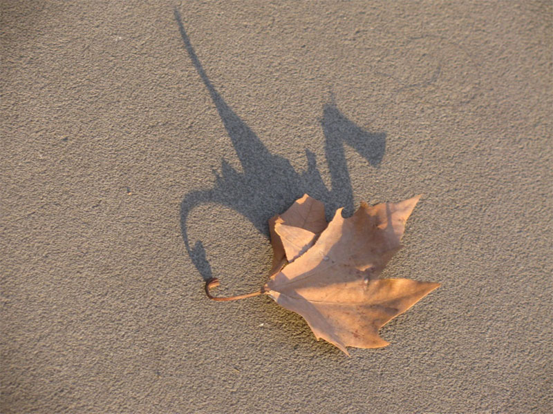 A dragon