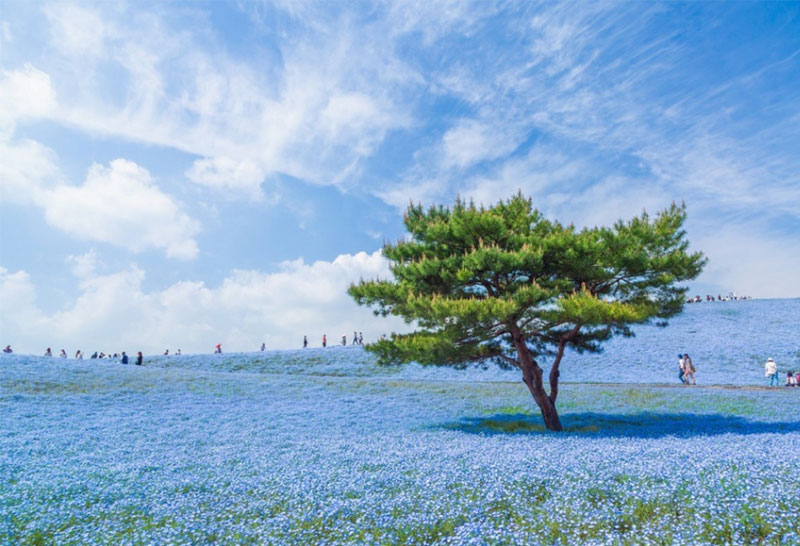 A blue universe