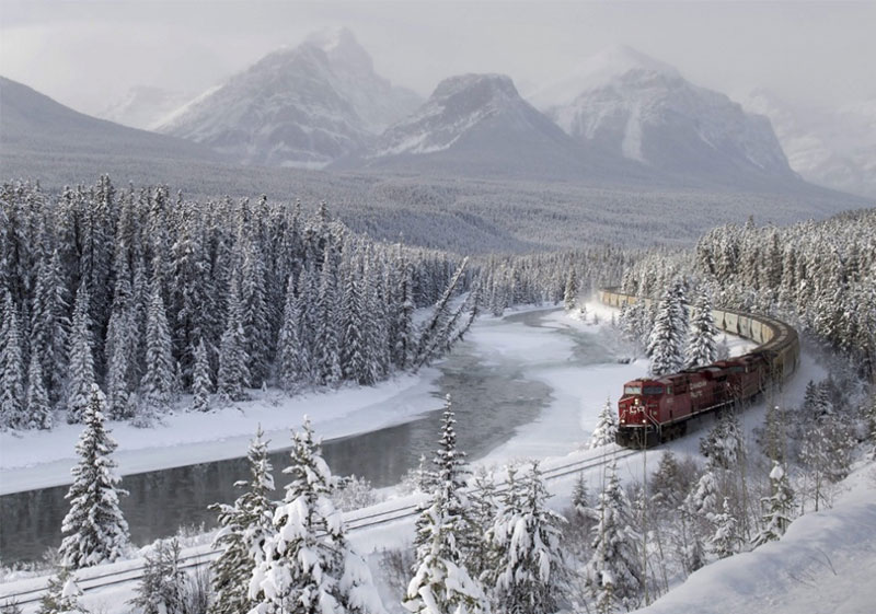 A cargo train