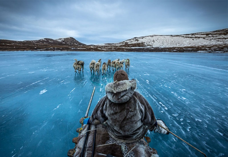 Dog sledding