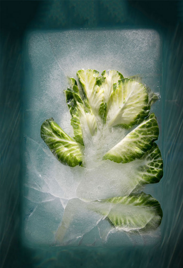 frozen-flowers