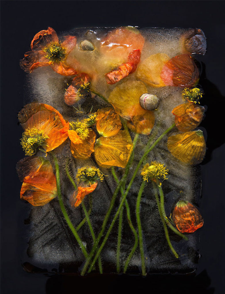frozen-flowers