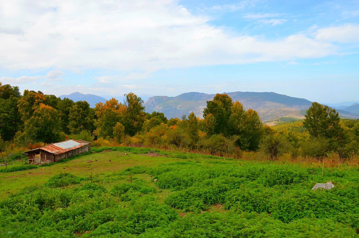 سوادکوه