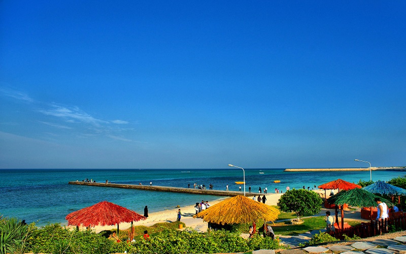 طبیعت زیبای جزیره کیش