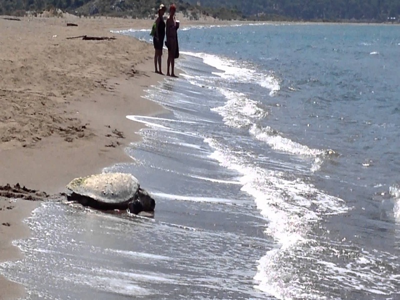 izuto beach 2